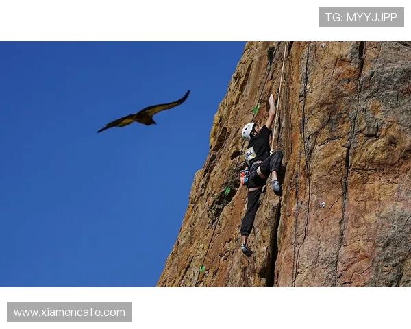 北京攀岩队耐力训练与技术提升的深度分析与探讨